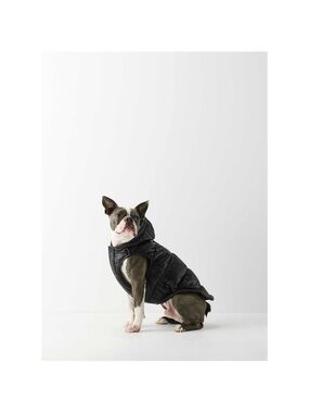 Aritzia Super Ruff Puff Dog
Jacket Size 2XSmall Black
Primaloft NEW